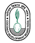 coconut_development